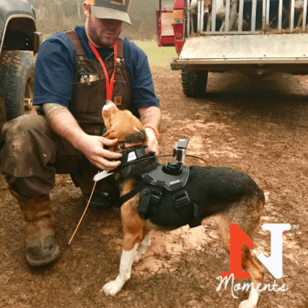 deer with dogs deer with dogs n1 moments by n1 outdoors deer with dogs deer with dogs n1 moments by n1 outdoors